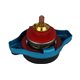 D1 SPEC 1.1, 1.3 Bar Big & Small Thermo Racing Radiator Cap with Water Temperature Meter