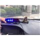 6 LED Car/Truck/Police Emergency Warning Strobe Light with Cigarette Lighter Power Adapter and Suction Cup