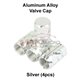 Aluminum - Silver